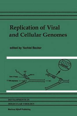 bokomslag Replication of Viral and Cellular Genomes