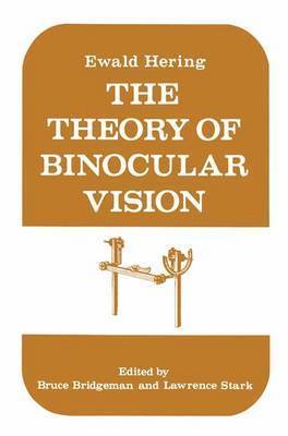 bokomslag Theory of Binocular Vision