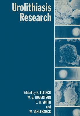 H. Fleisch - Urolithiasis Research, Häftad