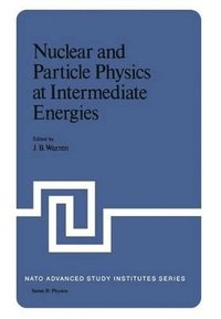 bokomslag Nuclear and Particle Physics at Intermediate Energies