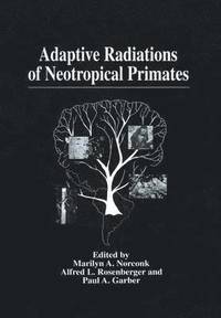 bokomslag Adaptive Radiations of Neotropical Primates