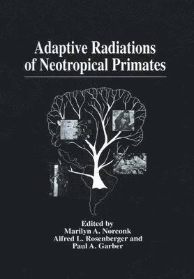Marilyn A. Norconk, Alfred L. Rosenberger, Paul A. Garber, Marilyn Norconk - Adaptive Radiations of Neotropical Primates, Häftad