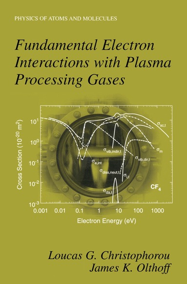 Loucas G. Christophorou, James K. Olthoff - Fundamental Electron Interactions with Plasma Processing Gases, Häftad