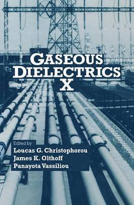 Gaseous Dielectrics X 1