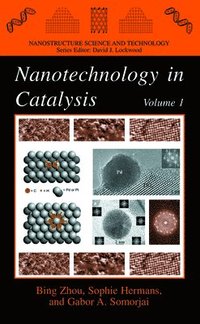 bokomslag Nanotechnology in Catalysis