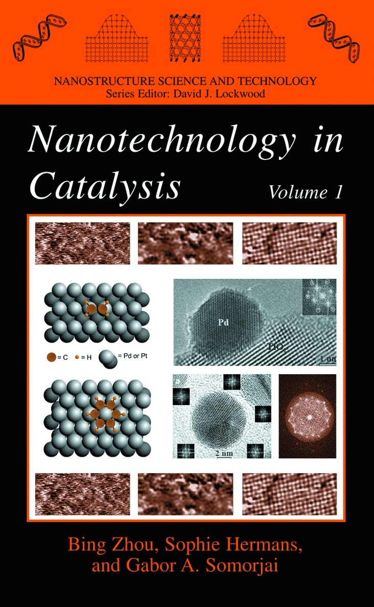 Bing Zhou, Sophie Hermans, Gabor A. Somorjai - Nanotechnology in Catalysis, Häftad