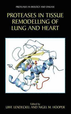 Proteases in Tissue Remodelling of Lung and Heart 1