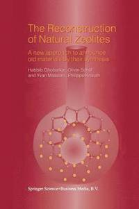 bokomslag The Reconstruction of Natural Zeolites