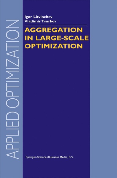 bokomslag Aggregation in Large-Scale Optimization