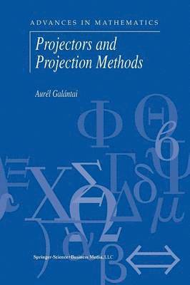 Projectors and Projection Methods 1