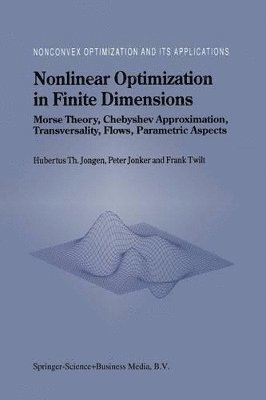 bokomslag Nonlinear Optimization in Finite Dimensions