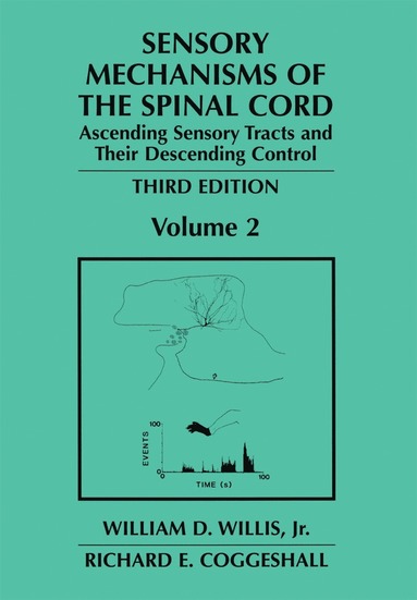 bokomslag Sensory Mechanisms of the Spinal Cord