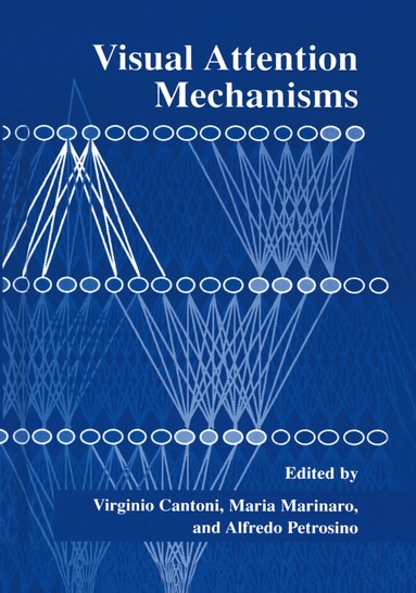 Virginio Cantoni, Maria Marinaro, Alfredo Petrosino - Visual Attention Mechanisms, Häftad