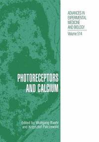 bokomslag Photoreceptors and Calcium
