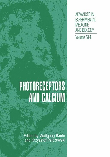 bokomslag Photoreceptors and Calcium