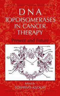 bokomslag DNA Topoisomerases in Cancer Therapy