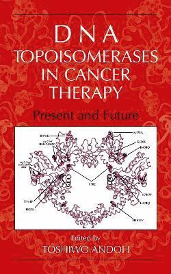 bokomslag DNA Topoisomerases in Cancer Therapy