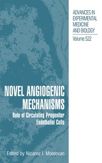 bokomslag Novel Angiogenic Mechanisms