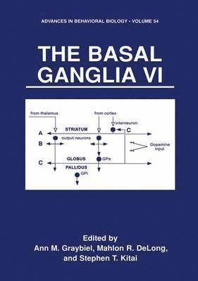 The Basal Ganglia VI 1