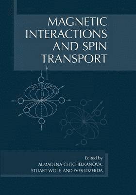 Magnetic Interactions and Spin Transport 1