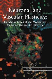 bokomslag Neuronal and Vascular Plasticity