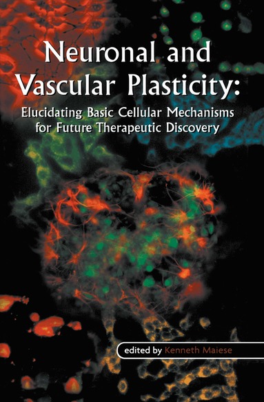 Kenneth Maiese - Neuronal and Vascular Plasticity, Häftad