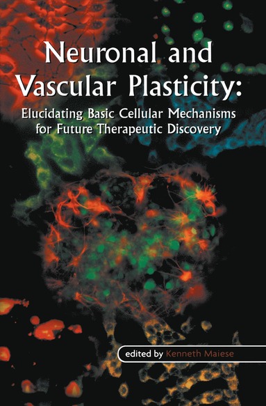 bokomslag Neuronal and Vascular Plasticity