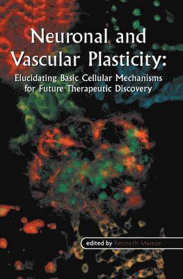 Neuronal and Vascular Plasticity