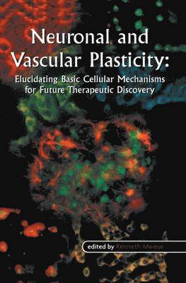 Neuronal and Vascular Plasticity 1