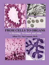 bokomslag From Cells to Organs