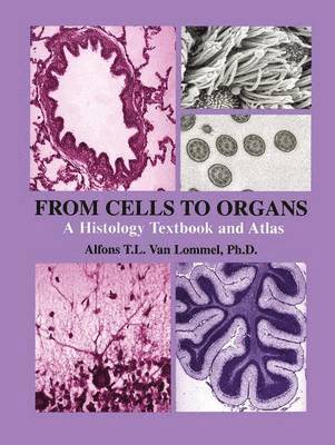 bokomslag From Cells to Organs