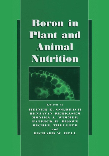 Heiner E. Goldbach, Benjavan Rerkasem, Monika A. Wimmer, Patrick H. Brown, Michel Thellier, R.W. Bell - Boron in Plant and Animal Nutrition, Häftad