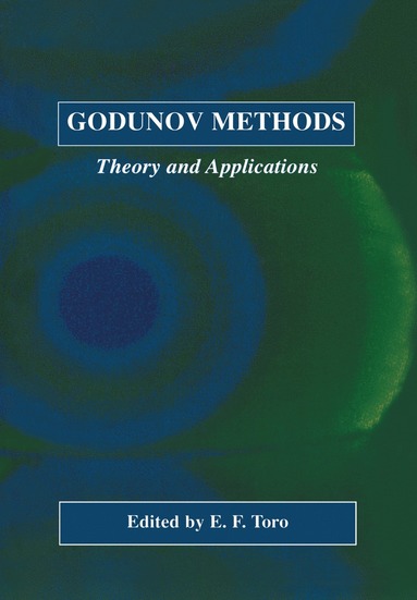 bokomslag Godunov Methods