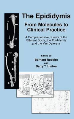 The Epididymis: From Molecules to Clinical Practice 1