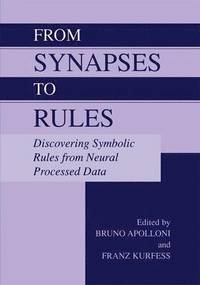 bokomslag From Synapses to Rules