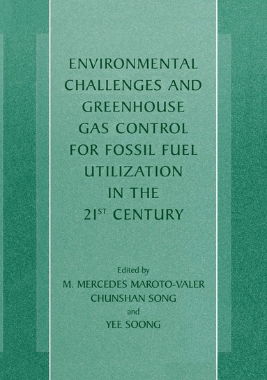 M. Mercedes Maroto-Valer, Chunshan Song, Yee Soong - Environmental Challenges and Greenhouse Gas Control for Fossil Fuel Utilization in the 21st Century, Häftad