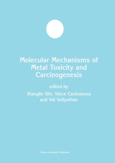Xianglin Shi, Vince Castranova, Val Vallyathan, William G. Perry - Molecular Mechanisms of Metal Toxicity and Carcinogenesis, Häftad
