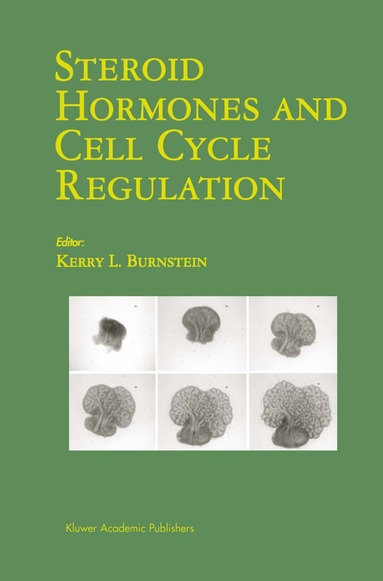 bokomslag Steroid Hormones and Cell Cycle Regulation