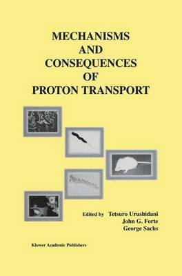 Mechanisms and Consequences of Proton Transport 1