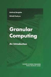 bokomslag Granular Computing