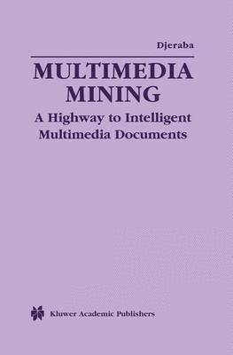 bokomslag Multimedia Mining