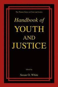 bokomslag Handbook of Youth and Justice