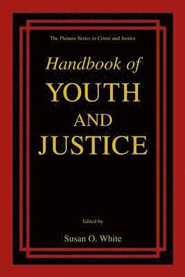 Handbook of Youth and Justice 1