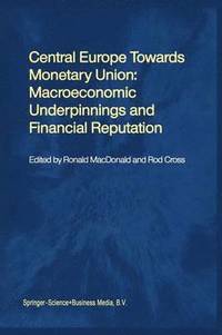 bokomslag Central Europe towards Monetary Union: Macroeconomic Underpinnings and Financial Reputation