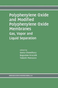 bokomslag Polyphenylene Oxide and Modified Polyphenylene Oxide Membranes