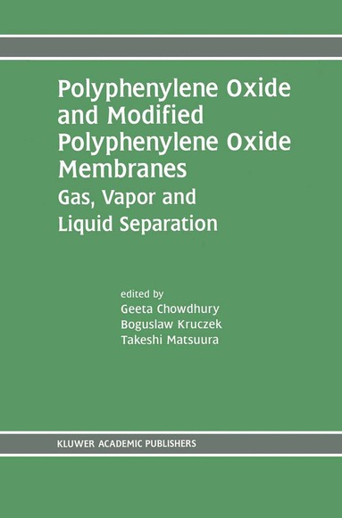 Geeta Chowdhury, Boguslaw Kruczek, Takeshi Matsuura - Polyphenylene Oxide and Modified Polyphenylene Oxide Membranes, Häftad