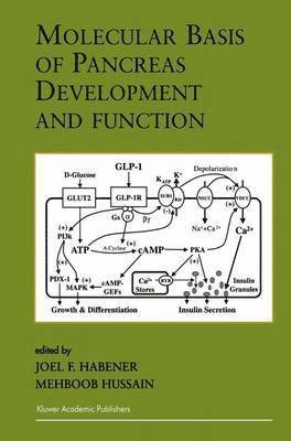 Molecular Basis of Pancreas Development and Function 1