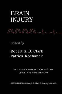 Robert S.B. Clark, Patrick Kochanek, Robert S. B. Clark - Brain Injury, Häftad