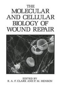 bokomslag The Molecular and Cellular Biology of Wound Repair