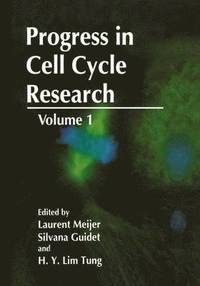 bokomslag Progress in Cell Cycle Research